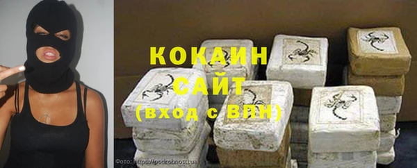 хмурый Абаза