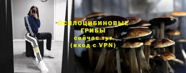 хмурый Абаза