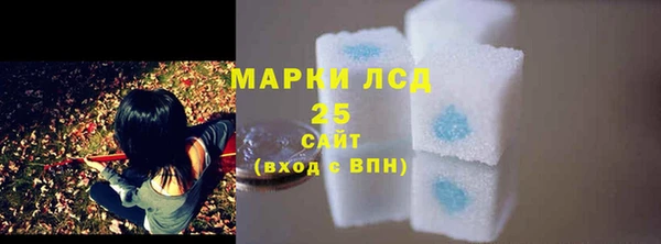 хмурый Абаза