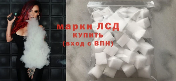 хмурый Абаза