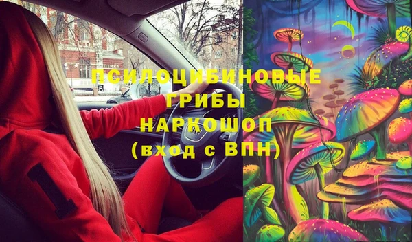 шишки Абдулино