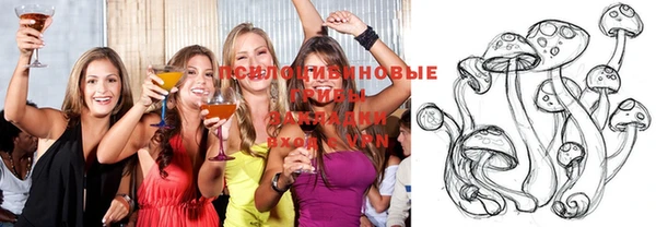 шишки Абдулино