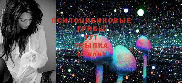 шишки Абдулино
