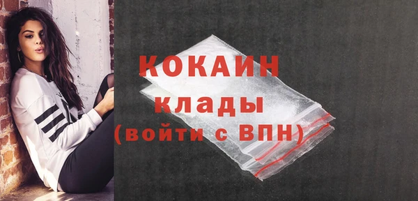 хмурый Абаза