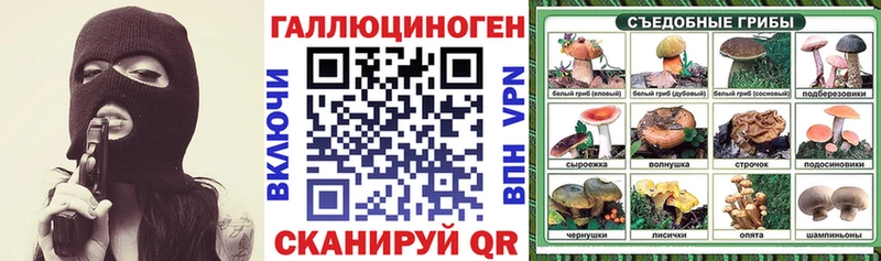 Галлюциногенные грибы мицелий  цена   mega tor  Слюдянка 