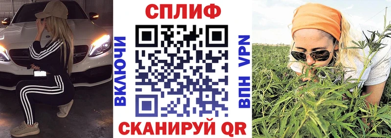 купить наркотик  Слюдянка  Конопля Amnesia 